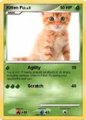 Kitten Fu