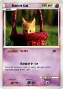 Basket Cat 9