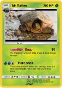 Mr Turtles