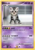 kitten