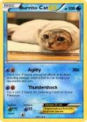 Burrito Cat