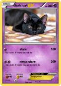 dark cat