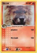 fire cat