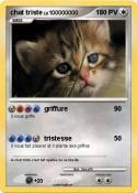 chat triste