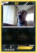 Oliver