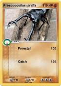 Prosopocoilus