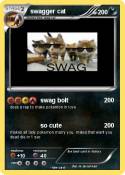 swagger cat