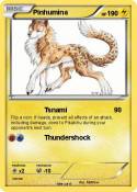 Pinhumina