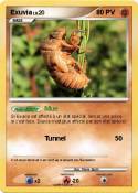 Exuvia