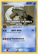 turtle