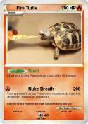 Fire Turtle