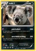 koala 3