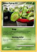 Venus Flytrap