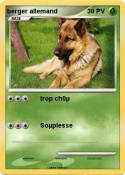 berger allemand