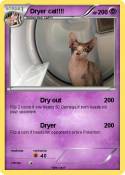 Dryer cat!!!!