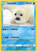 Harp Seal