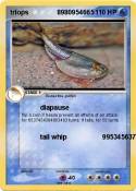triops
