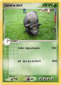 torterra nivX