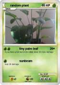 random plant