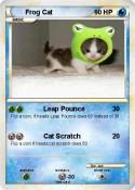 Frog Cat