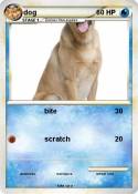 dog