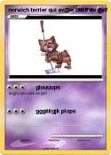 norwich terrier