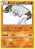 Athena dog(KIKE