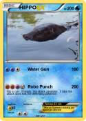 HIPPO