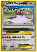 PS Changus Boi