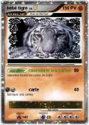 bébé tigre
