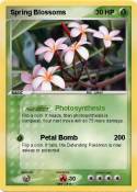 Spring Blossoms