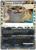 hacker 99999999