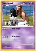 stabyhound