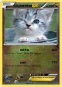kittenwise