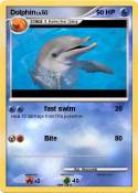 Dolphin
