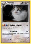 Sipholtar