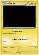 cat ex