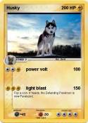 Husky