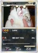 Angry Cat