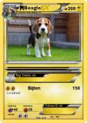 Beagle