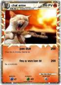 chat arme