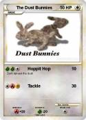 The Dust Bunnie