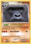 Harambe
