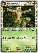 Marsupilami X