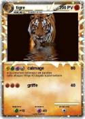 tigre