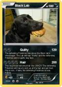 Black Lab