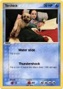Torchick