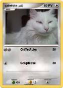 catwhite