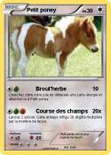 Petit poney