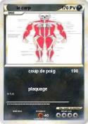 le corp